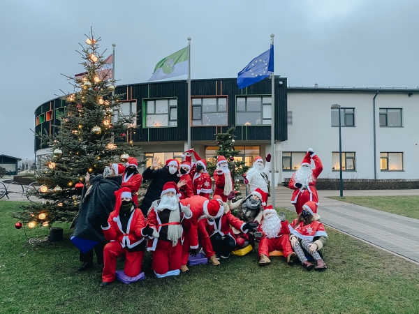 Rūķi Mārupes novada PII ''Mārzemītē''